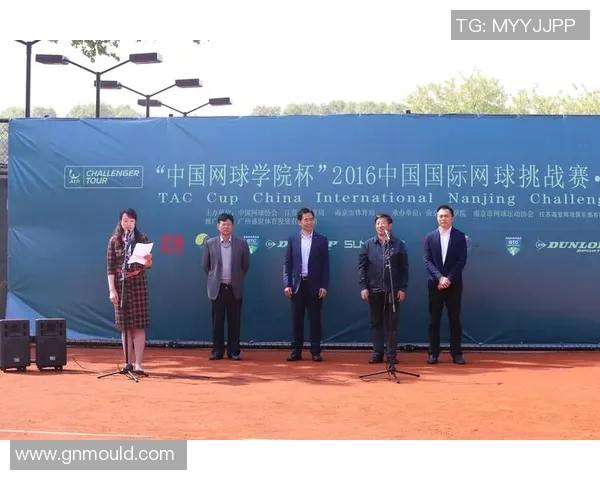南京网球队进攻策略分析与表现评估探讨