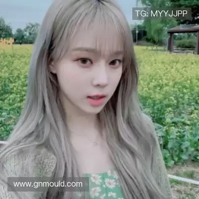 明锦柳